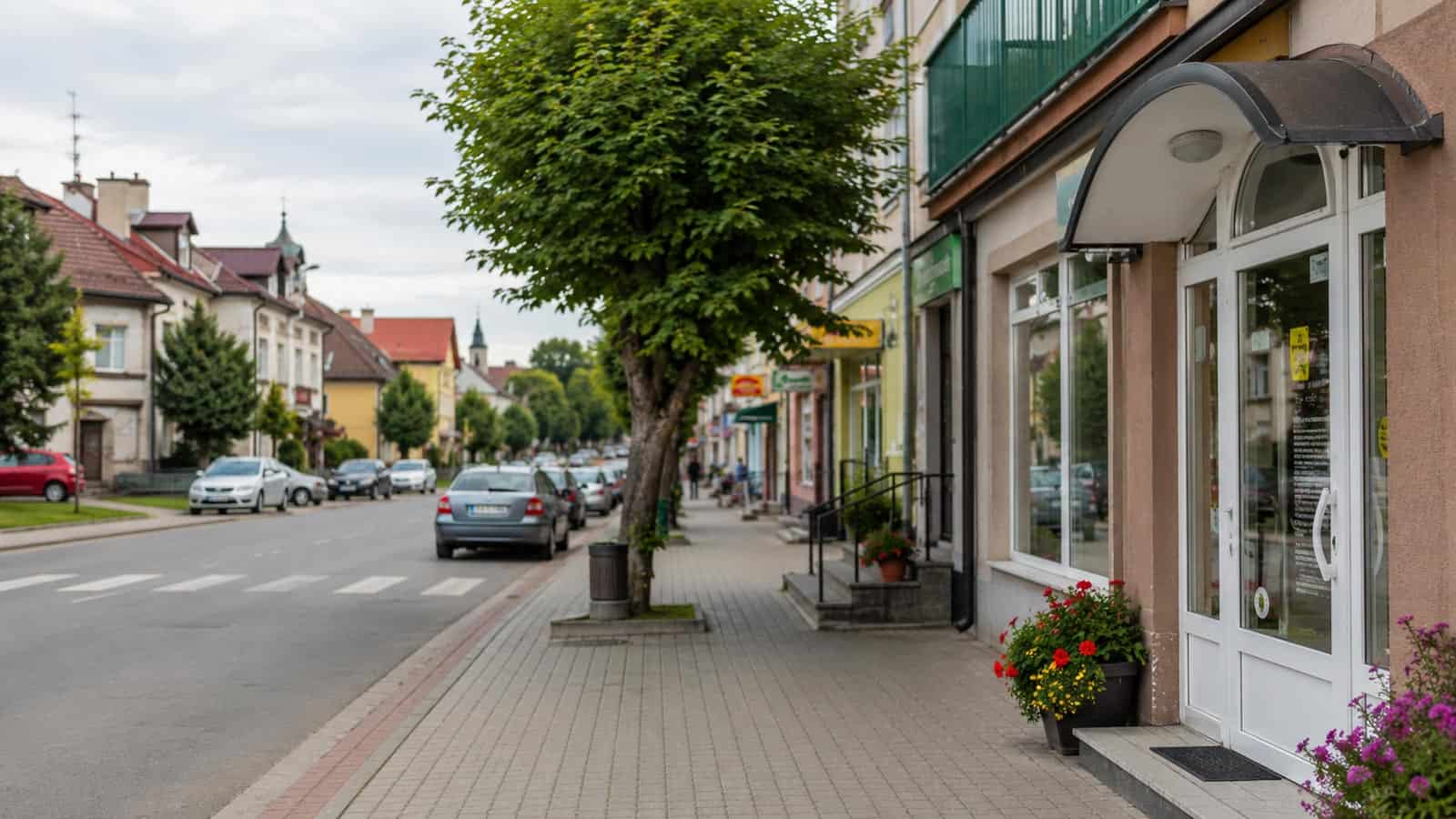 Lokalny katalog firm i usług w Nowej Sarzynie